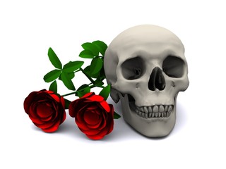 skull and two red roses