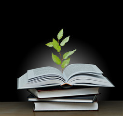 Tree growing from open book