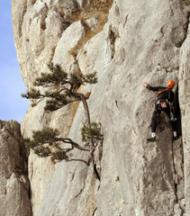 Climbing.