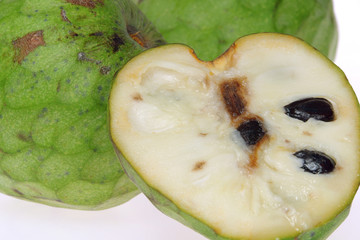 Cherimoya 14