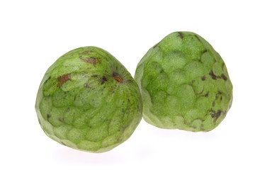 Cherimoya 16