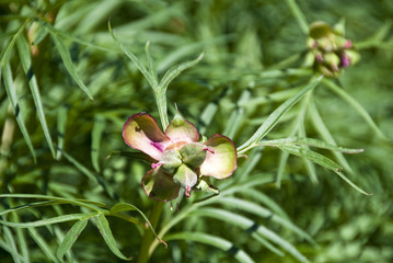 Nature in Oslo, Norway