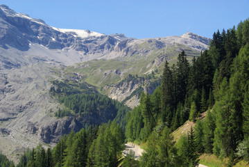 Fototapeta na wymiar Ortler Massiv - Ortler Alps 08