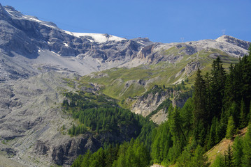 Fototapeta na wymiar Ortler Massiv - Ortler Alps 09