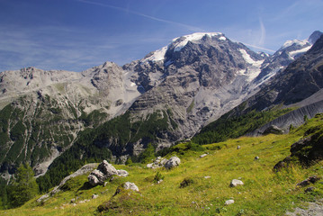 Fototapeta na wymiar Ortler Solid - Ortler Alps 17