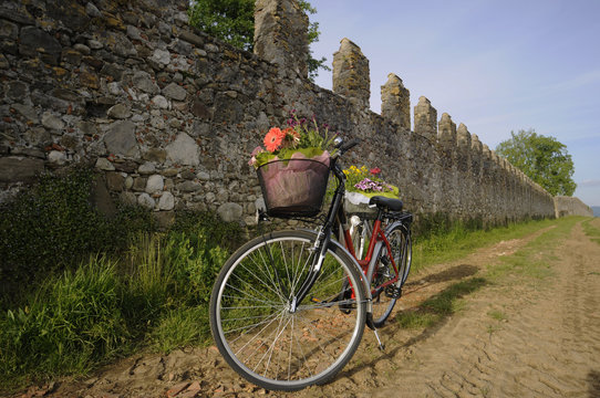 Scampagnata Images Browse 1,503 Stock Photos, Vectors, and Video