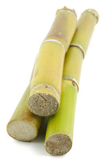 Sugar cane