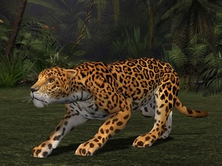 Jaguar