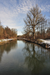 Baum am Fluss