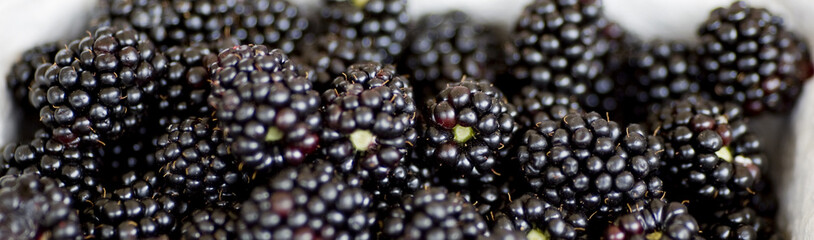 Brombeeren