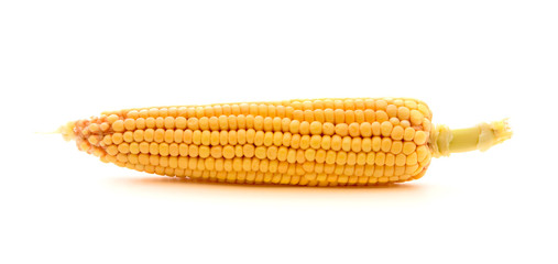 Corn