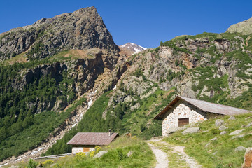 Fototapeta na wymiar Alpejski krajobraz z pastwisk