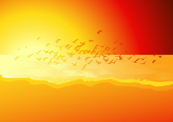 Flock of birds above the sea in sunset