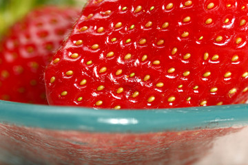 fraises
