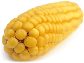 Macro corn