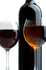 white and red wine