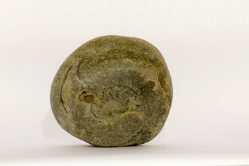 Fossile ammonite
