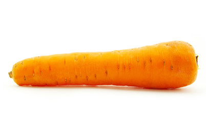 carrot