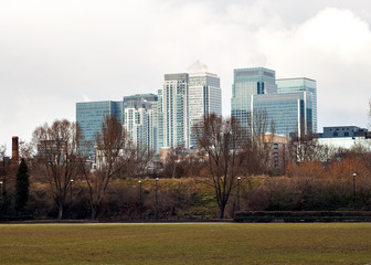 Canary Wharf buildings in London seen from a park in the Isle of