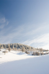 Winter landscape