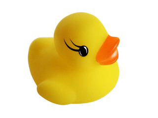 small duck toy