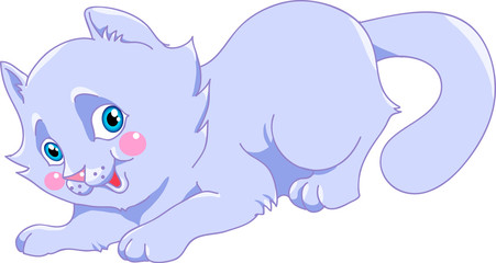 blue kitten