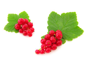 red currants