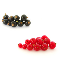 red currants
