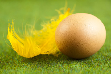 Egg
