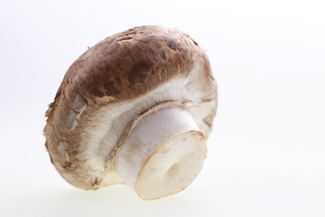 Champignon