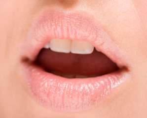 Fototapeta premium Opened sexy female lips