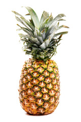 Fototapeta premium Pineapple