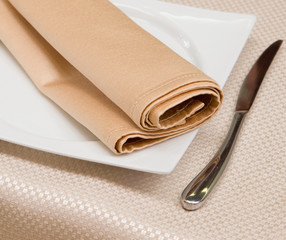 Served empty plate with napkin ready for food