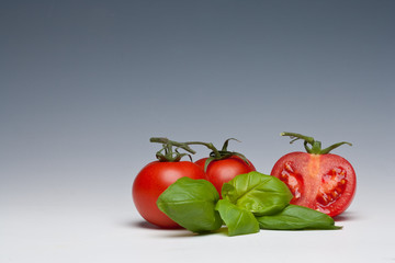 Tomato and Basil herb