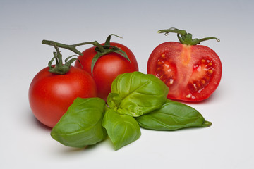 Tomato and Basil herb