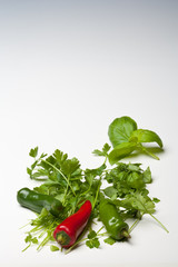 Red and Green Chillies with Parsley and Basil