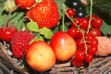 mix of summer berries