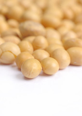 a lot of soy beans close up or macro