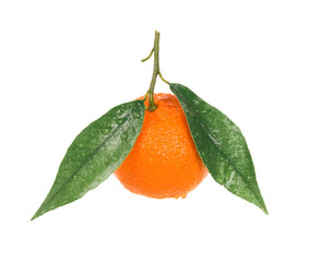 Tangerine with water drops
