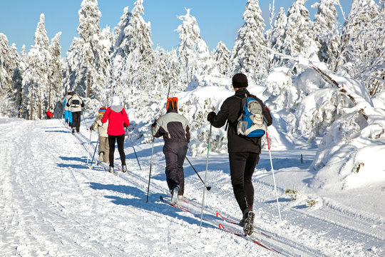 Ski Langlauf  4593