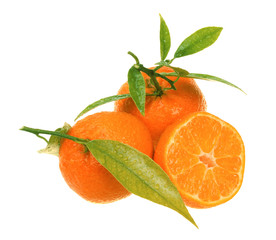 Fresh tangerines