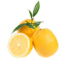 Fresh lemons