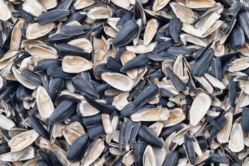 Lots of empty sunflower seed shells with selective focus