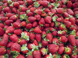 Fresh strawberries
