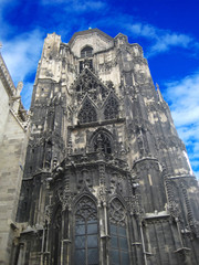 Fototapeta premium Cattedrale di Santo Stefano a Vienna