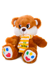 Teddy bear isolated on white background
