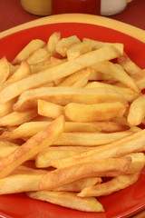 french fries