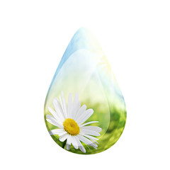 Goutte d'eau avec reflet de Pâquerette