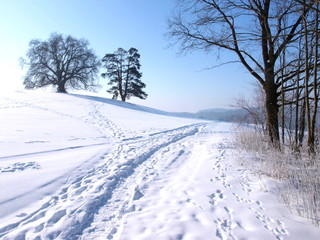 Winterweg
