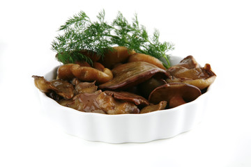 mushrooms on porcelain plates over white